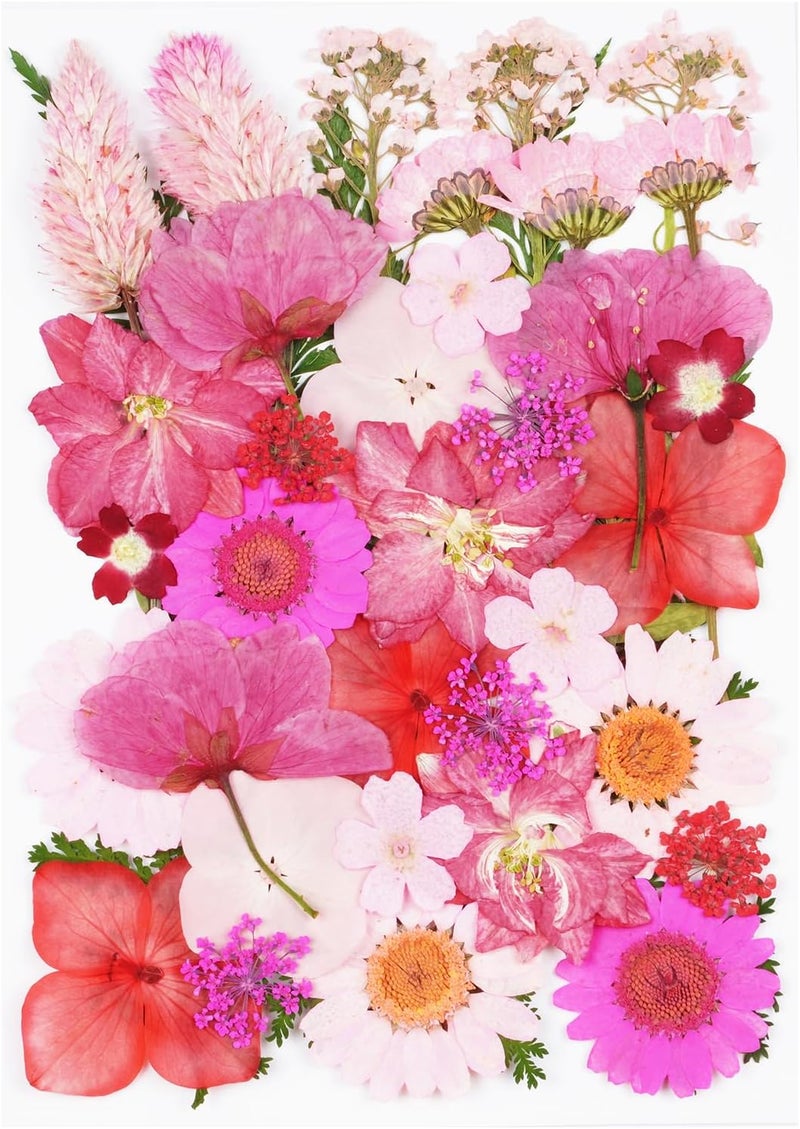 Xinxinran 40Pcs Pink Dried Pressed Flowers for Crafts, Dry Flowers Kit for Resin Molds,Epoxy Resin Accessories,Bookmark,Nails, Jewelry Molds,Candle Making Supplies,Soap,Frame,Cakes - Image 1